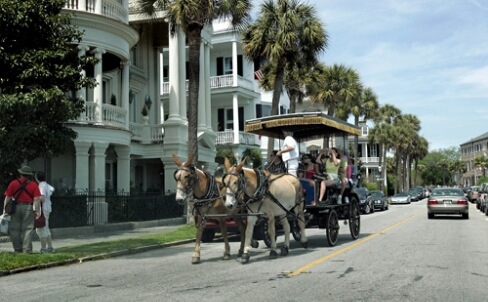 Things to do in Charleston SC - TOP THINGS TO SEE AND DO