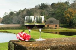 Garden Strolls and Wine Tasting at Middleton Place