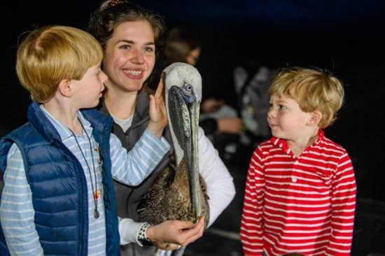 BUSCH Wildlife Sanctuary Show 2024 BUSCH Wildlife Sanctuary Show 2024