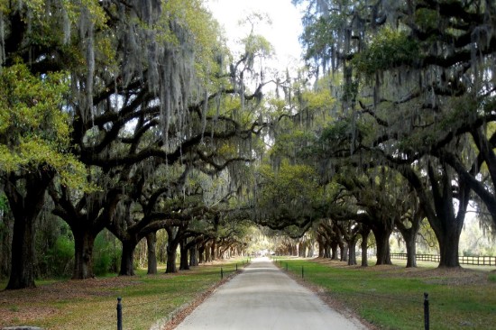 plantation tour near charleston sc