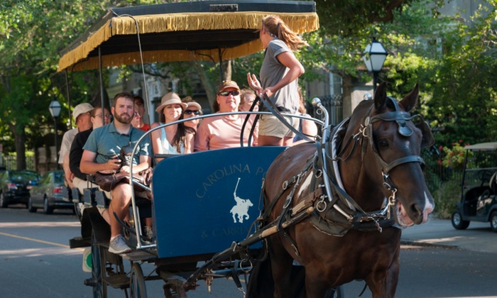 Carolina Polo and Carriage Company Carolina Polo and Carriage Company