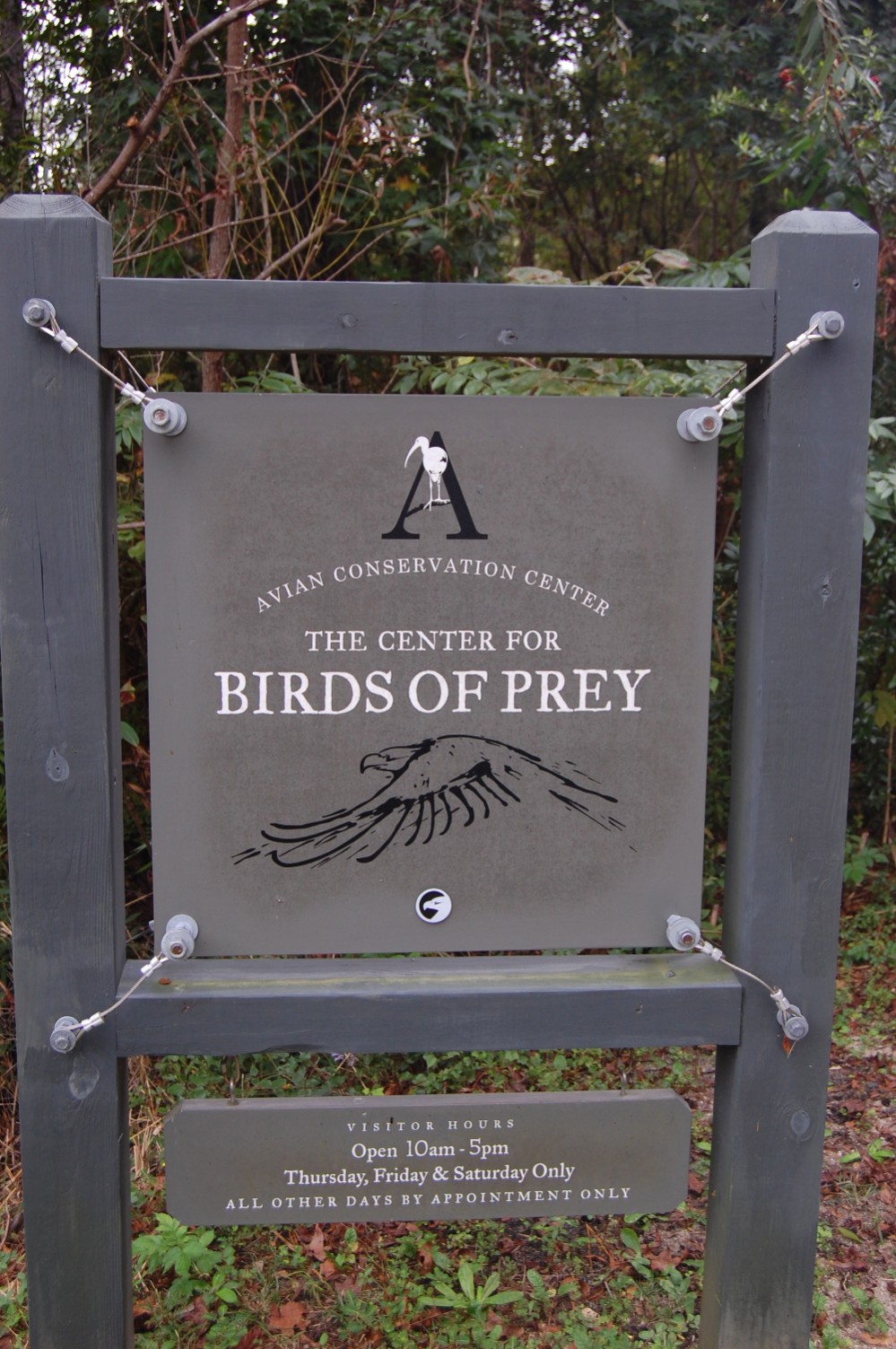 THE CENTER FOR BIRDS OF PREY - 151 Photos & 49 Reviews - 4719 Hwy