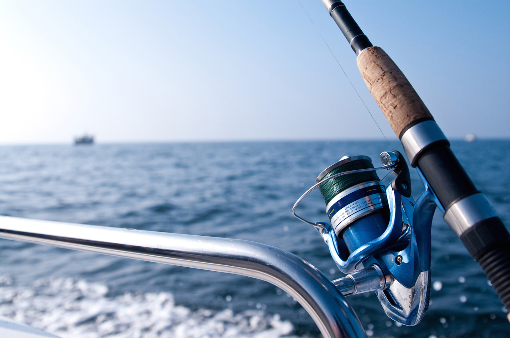 Charleston Fishing Guide (2024)  Best Charleston Fishing Charters