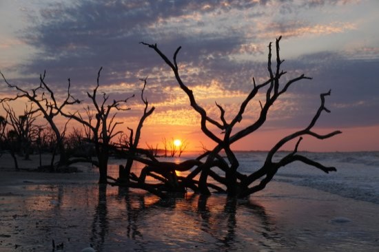 Charleston Sun Set over the water
