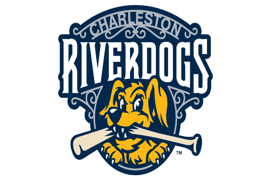 Charleston Riverdogs vs Columbia Fireflies 
