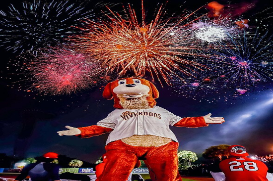 Charleston River dogs 4th of July Fireworks