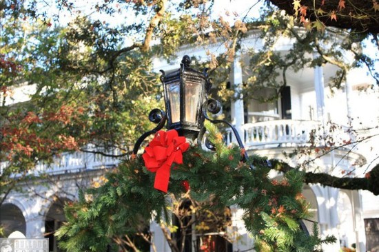 Charleston Strolls Walking Tour Charleston Strolls Walking Tour