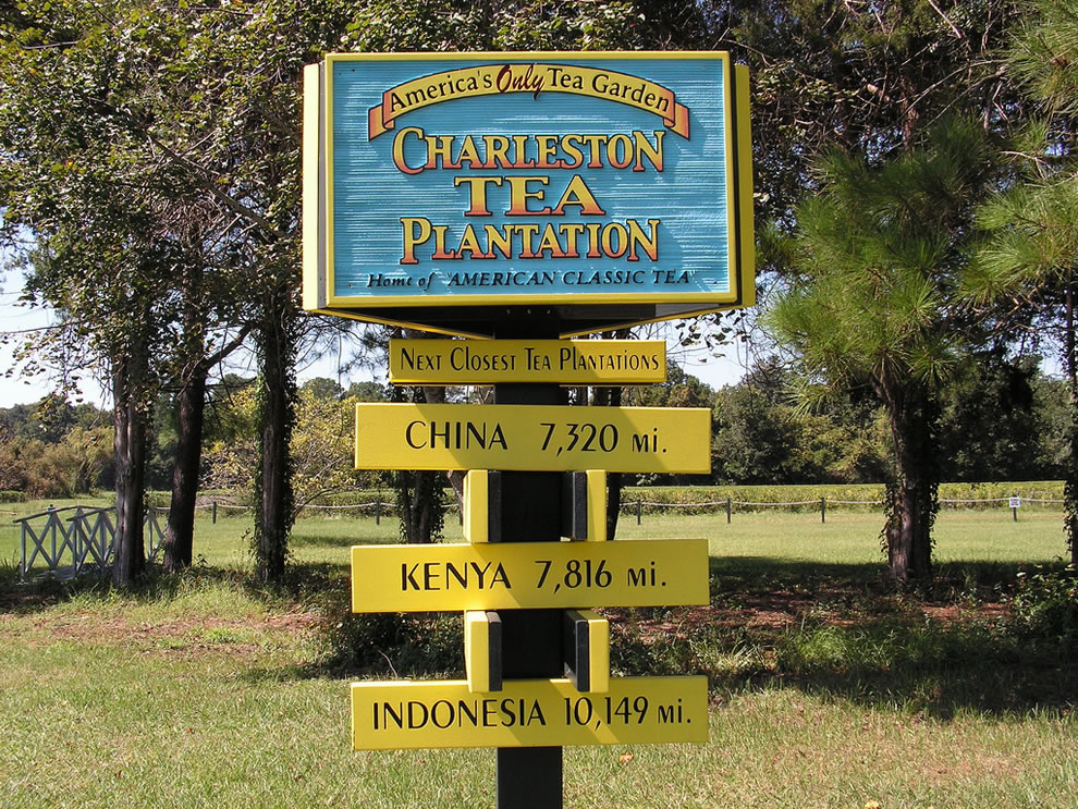 Charleston Tea Plantation