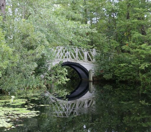 Cypress Gardens SC (2022) | Admission, Hours, Photos & Events