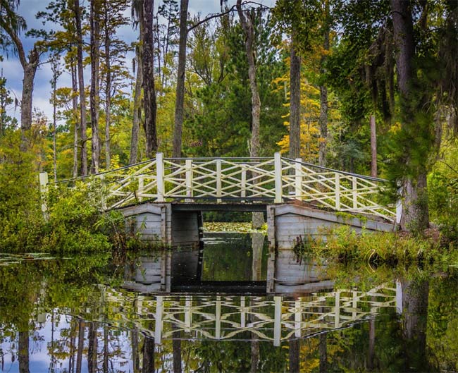 Cypress Gardens Sc 2020 Charleston Visitors Guide