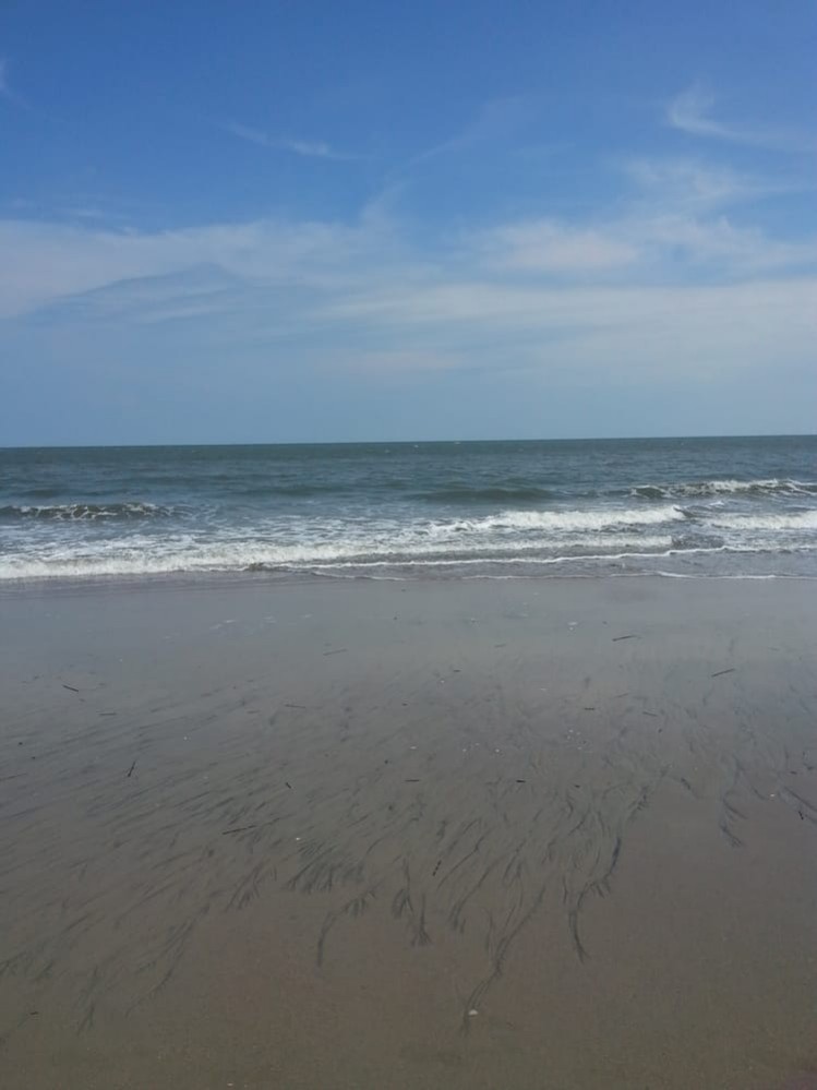 Edisto Beach SC - 2020 Charleston Visitors Guide