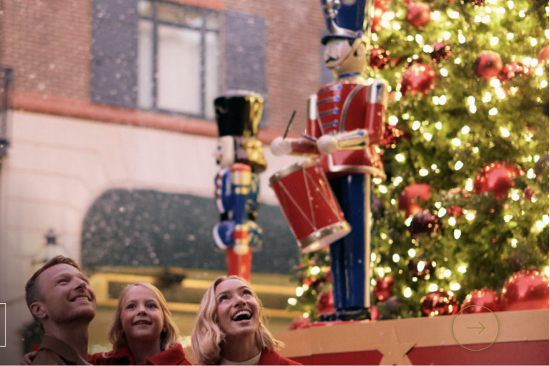 Festival of Tree at Charleston Place 2023