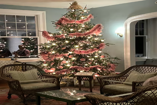 Home for the Holidays Magnolia House Tour