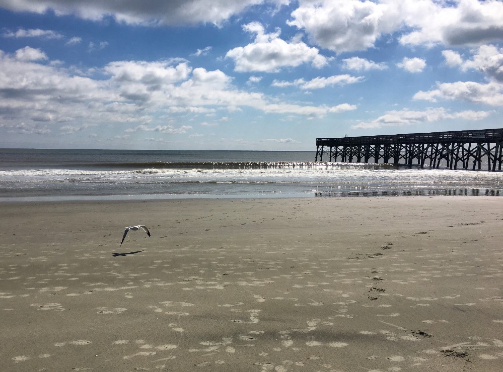 Isle Of Palms Beach 2020 Charleston Visitors Guide