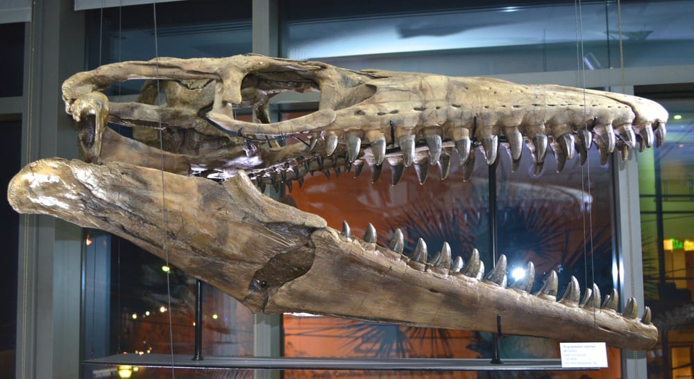 The Best Charleston SC Museums 2019