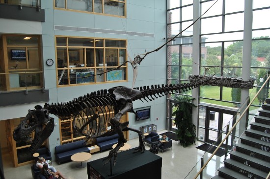 Mace Brown Museum of Natural History Charleston Mace Brown Museum of Natural History Charleston