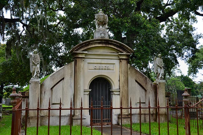 Magnolia Cemetery Charleston