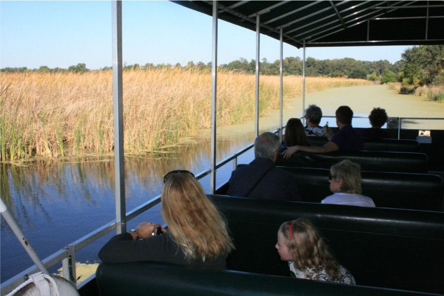 magnolia plantation train tour