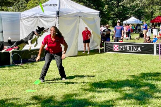 Purina Pro Plan Flying Disc Dog Demonstrations Purina Pro Plan Flying Disc Dog Demonstrations