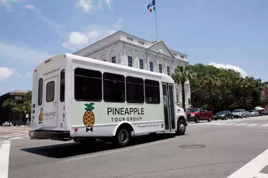 Pineapple Tour Group Bus