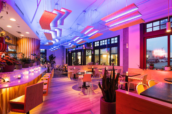 Pink Bellies Charleston Pink Bellies Charleston