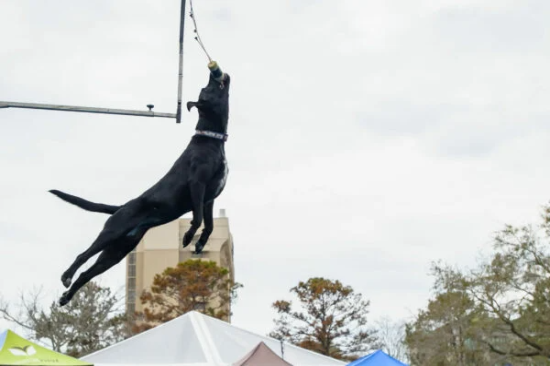 SEWE Big Air 3 SEWE Big Air 3