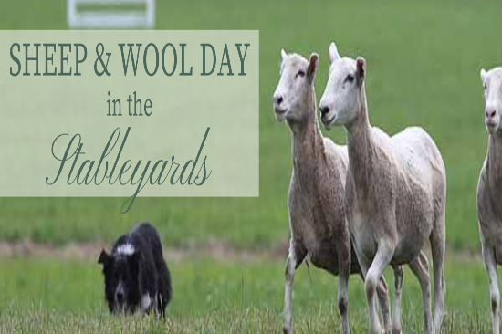 Sheep and Woold Day at Middleton Place