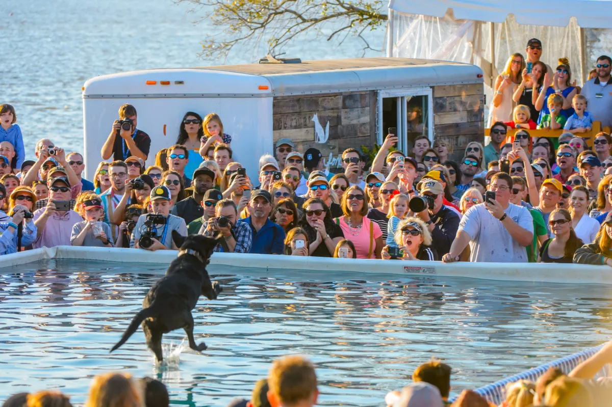 Southeastern Wildlife Exposition 2023