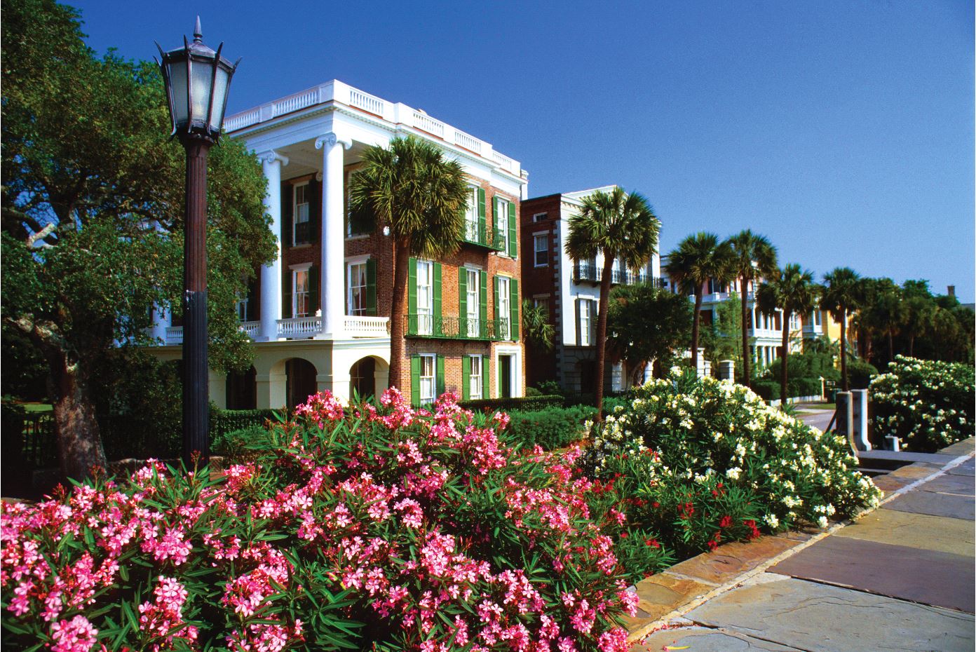March is a wonderful time of the year in Charleston. The sun is shining, the flowers are blooming, and there are plenty of events, festivals and fun things to do in Charleston.