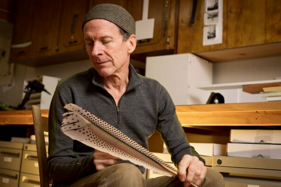 The Dewberry Artist in Residence: Chris Maynard 2024 The Dewberry Artist in Residence: Chris Maynard 2024