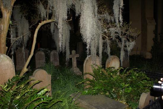 Tour Charleston Tour Charleston