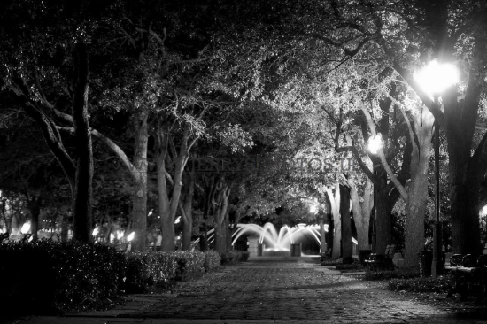 Walks in History Walks in History