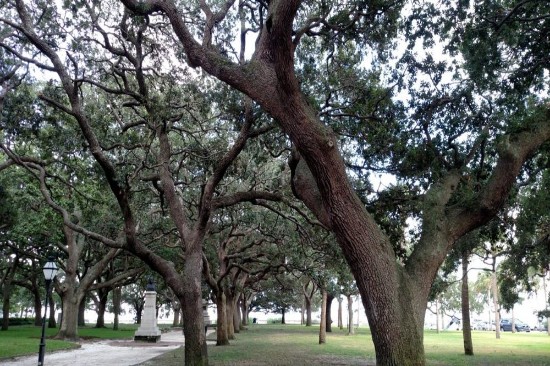 White Point Garden White Point Garden