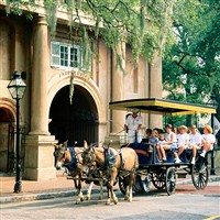 Charleston SC Horse-Drawn Carriage Ride